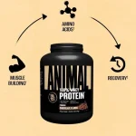 پروتئین وی انیمال | Animal 100% Whey Protein Powder ریکاوری