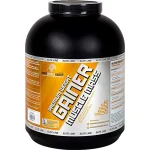گینر افزایش وزن پرمیوم بادی ورلد گروپ | BWG Premium Weight Gainer شاخص