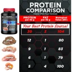 پروتئین آل وی کلاسیک آلمکس | ALLMAX AllWhey Classic Protein اطلاعات