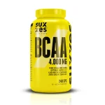 کپسول بی سی ای ای ساکسس نوتریشن | Success Nutrition BCAA Capsules شاخص