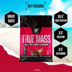 گینر ترو مس بی اس ان آل این وان | BSN True Mass All-In-One سایر