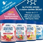 پودر آمینو فیول اپلاید 390 گرم | Applied Nutrition Amino Fuel طعم ها
