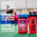 آمینو ایکس بی اس ان | BSN Amino X آمینو و شیکر