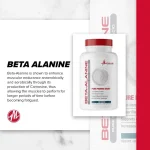بتا آلانین متابولیک 300 گرم | Metabolic Beta Alanine توضیحات